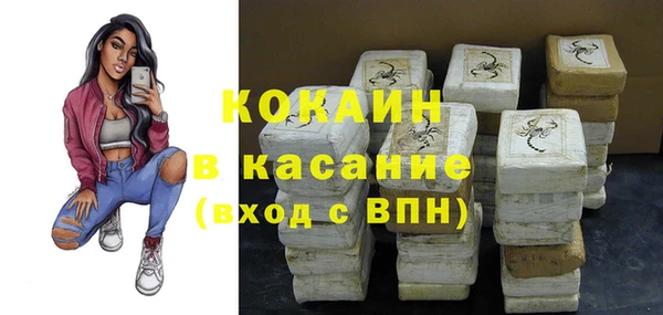сатива Козловка