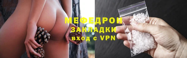 сатива Кинешма