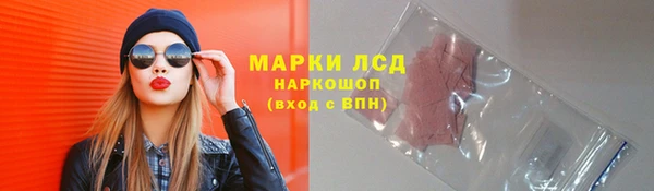сатива Кинешма