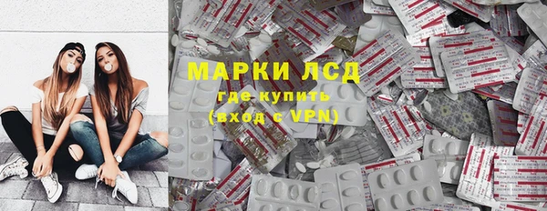 сатива Кинешма