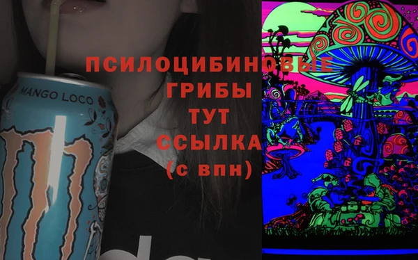 метадон Карпинск