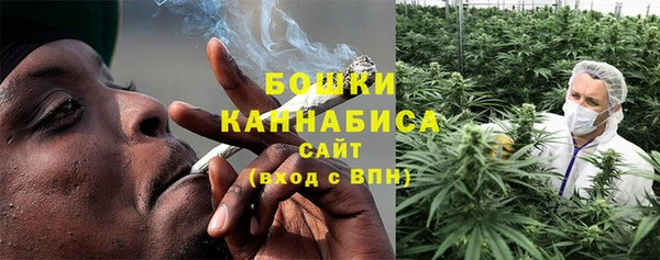 шишки Кодинск