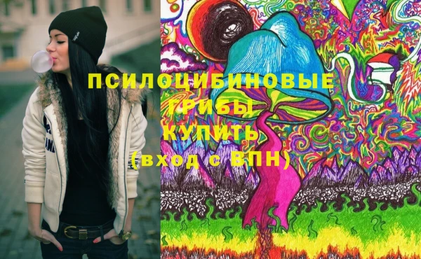 сатива Кинешма