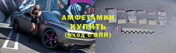 сатива Козловка