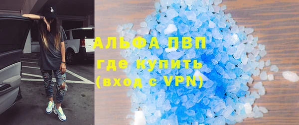сатива Козловка