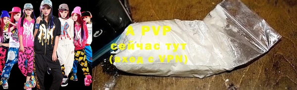 шишки Кодинск