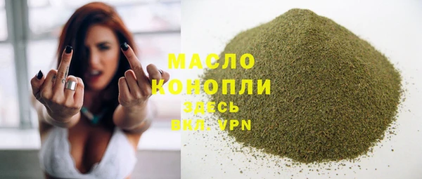 шишки Кодинск